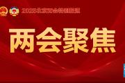 北京市人大代表、北京汉光百货有限责任公司董事长王小雨：建议对企业的自营买手业务，设置专项贷款项目，给予贷款贴息支持-中石化加油充值卡